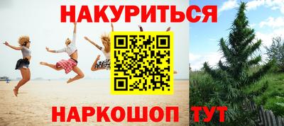 дмт Донской