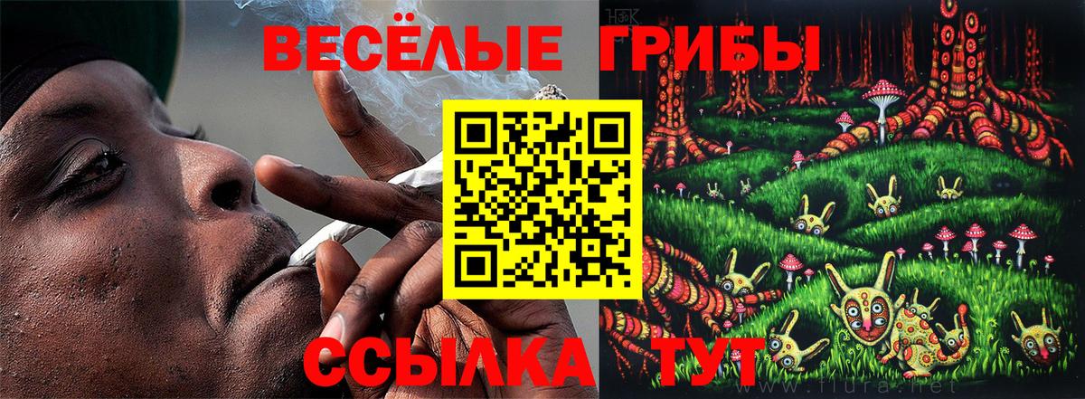 Галлюциногенные грибы мухоморы Ишим
