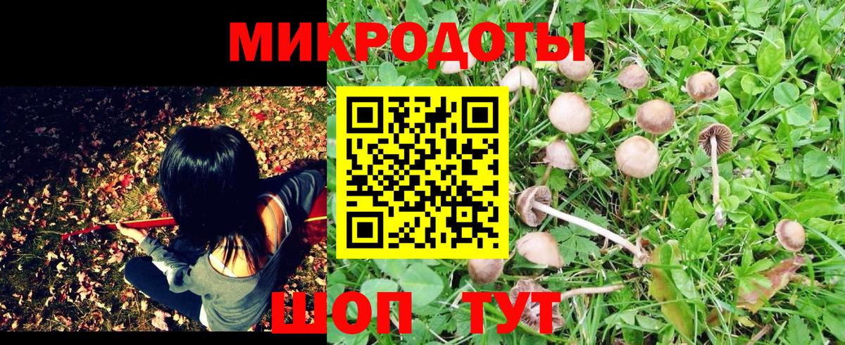 Псилоцибиновые грибы мицелий  Псилоцибиновые грибы прущие грибы  Ишим  Вход с VPN 